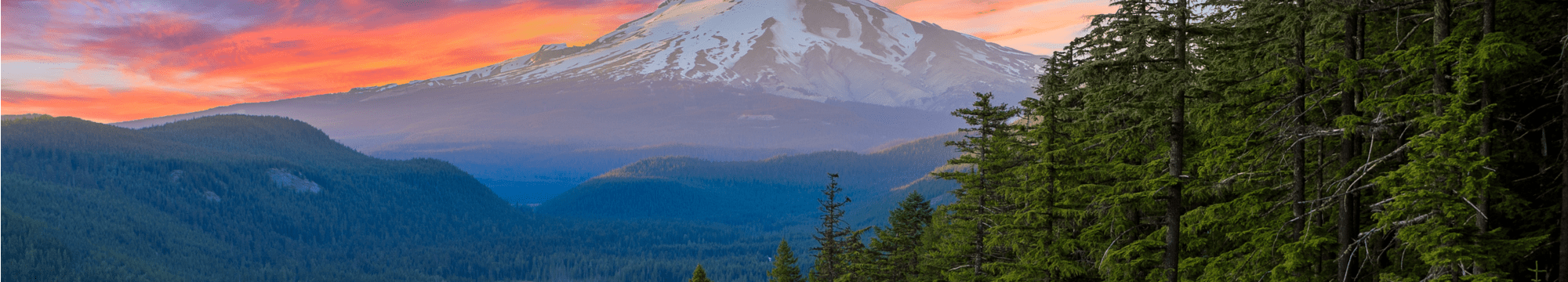 Mount Rainier with trees in foreground